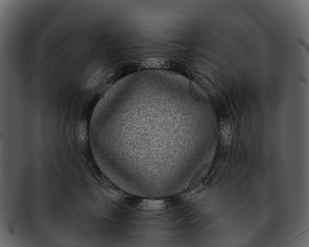 X0000092320665200710051257