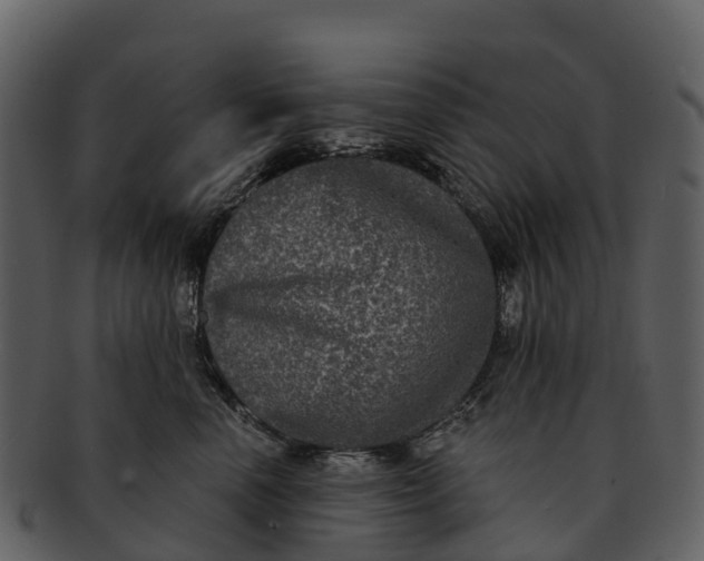 X0000092320666200710051257