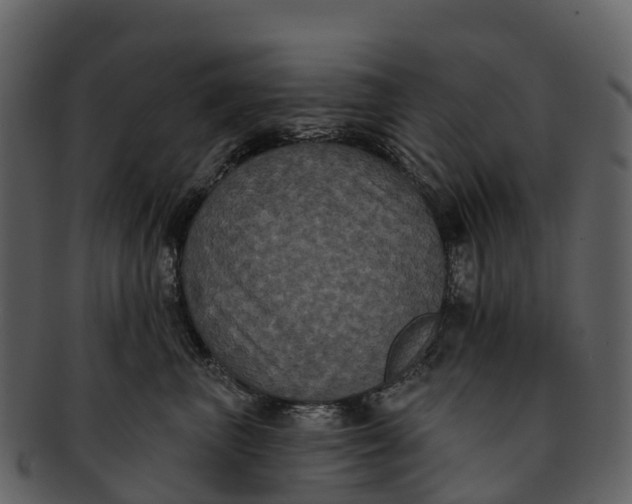 X0000092320667200710051257