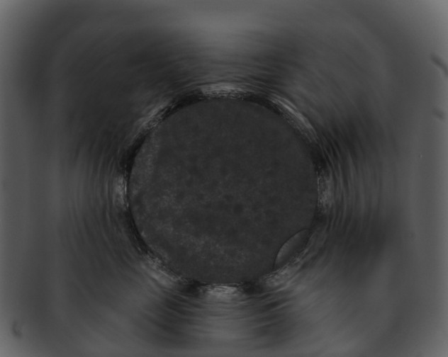 X0000092320669200710051258