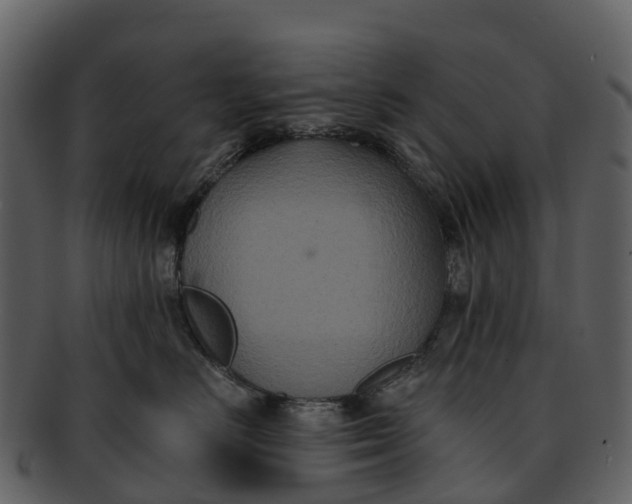 X0000092320670200710051258