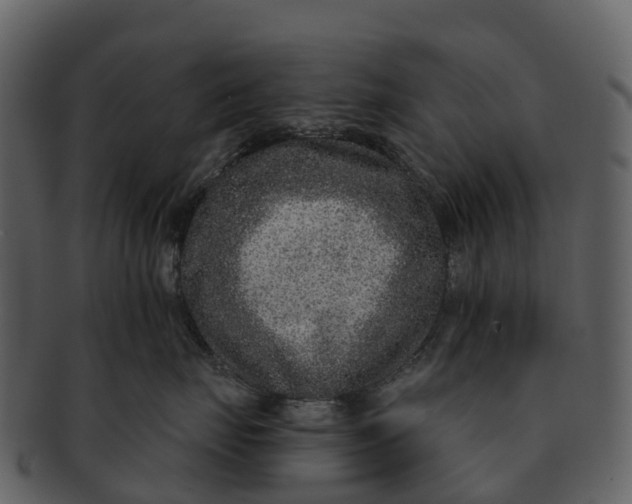 X0000092320671200710051258