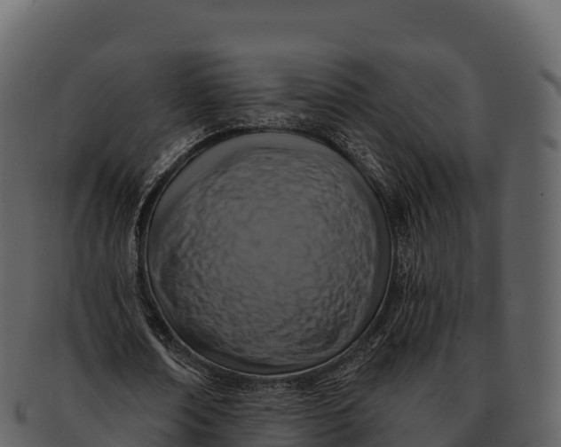 X0000092320674200710051257