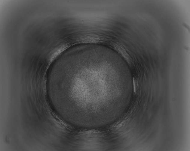 X0000092320675200710051257