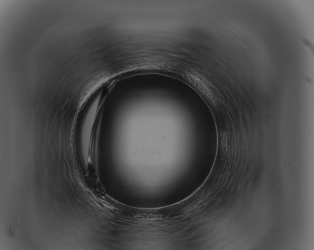X0000092320676200710051257