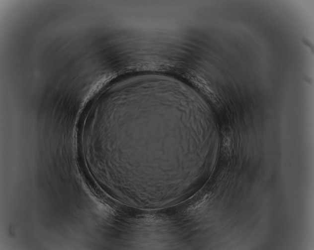X0000092320678200710051257