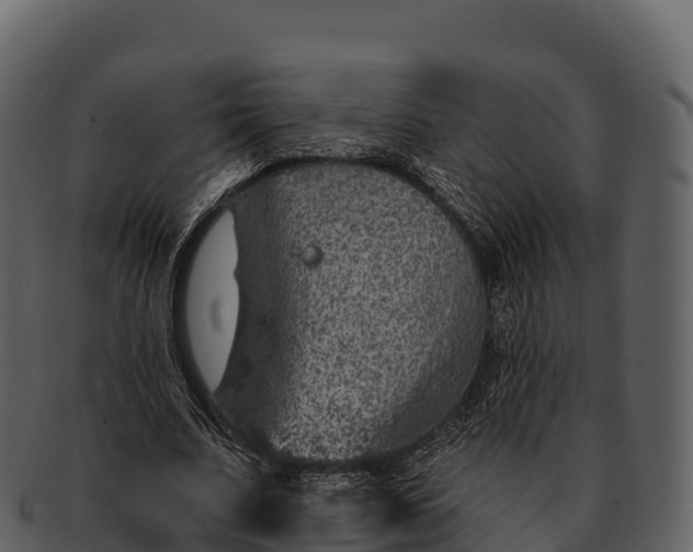 X0000092320679200710051257