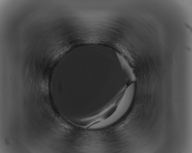 X0000092320681200710051257