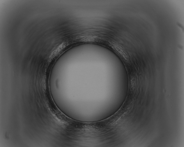 X0000092320682200710051257