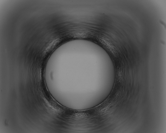 X0000092320686200710051257
