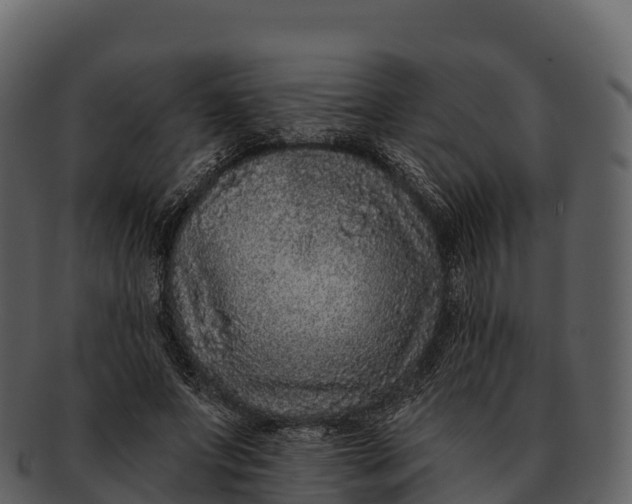 X0000092320687200710051257