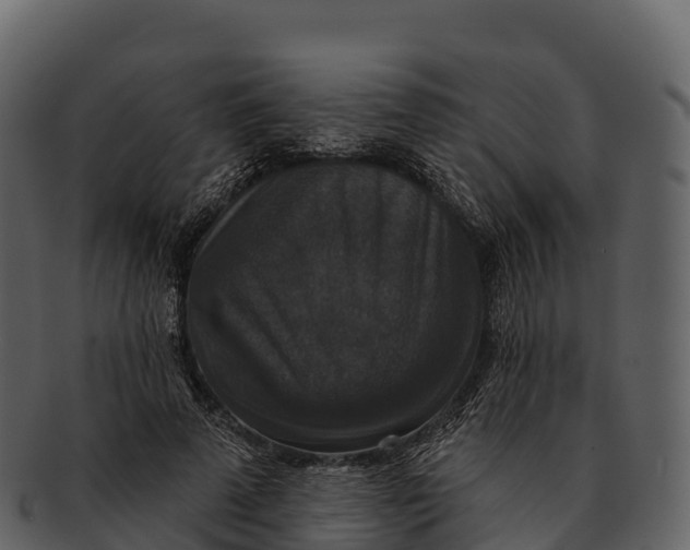 X0000092320689200710051257