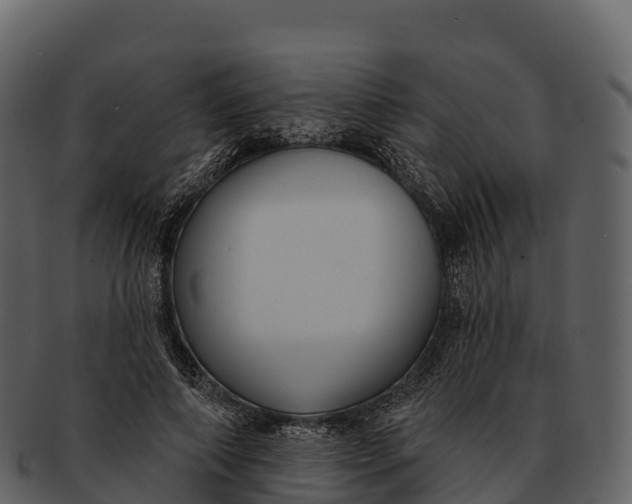 X0000092320690200710051257
