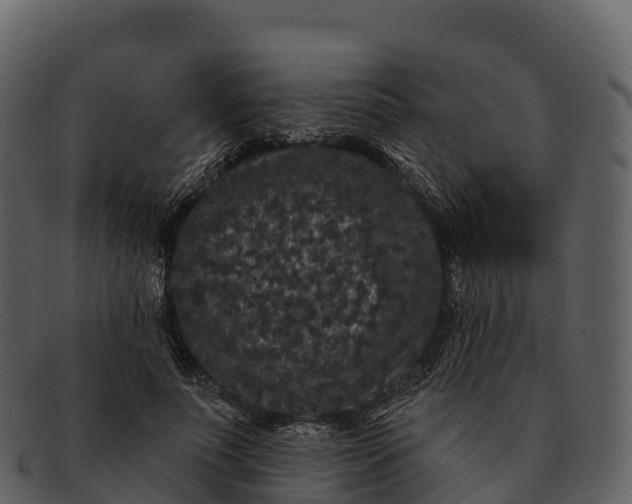 X0000092320691200710051257