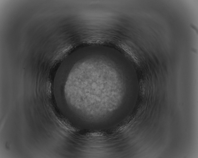X0000092320692200710051257