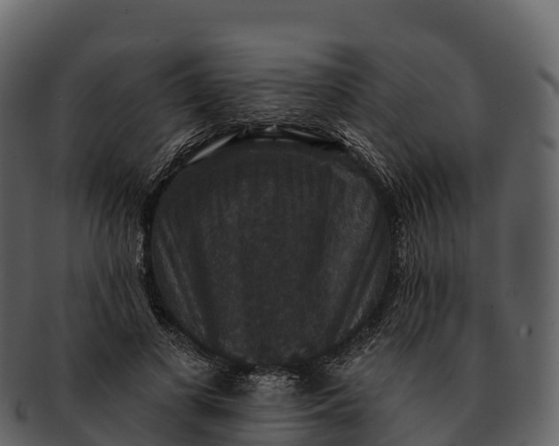 X0000092320693200710051257