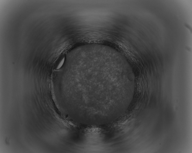 X0000092320695200710051257