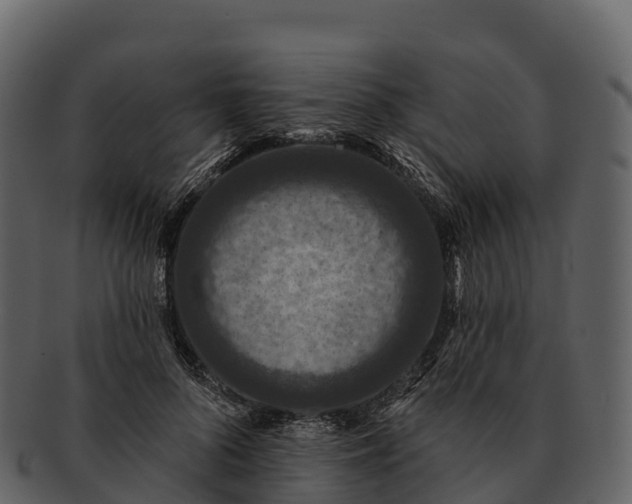 X0000092320696200710051257