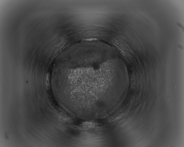 X0000092320699200710051257