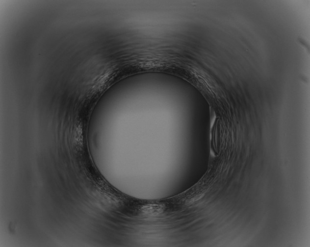 X0000092320700200710051257