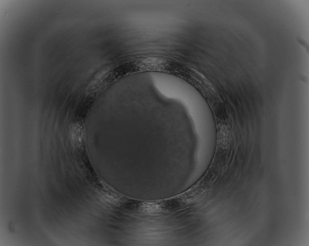 X0000092320701200710051257