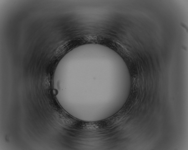 X0000092320702200710051257