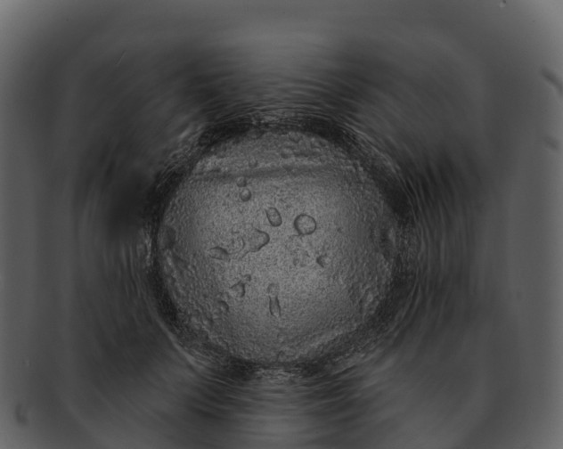 X0000092320703200710051257