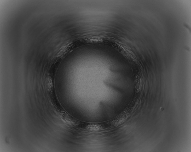 X0000092320704200710051257
