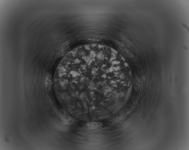 X0000092320707200710051257
