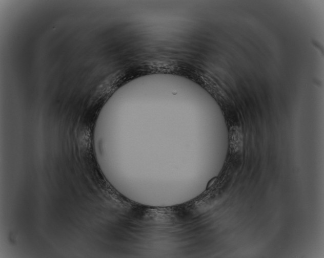 X0000092320713200710051256