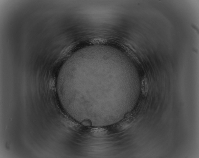 X0000092320714200710051256