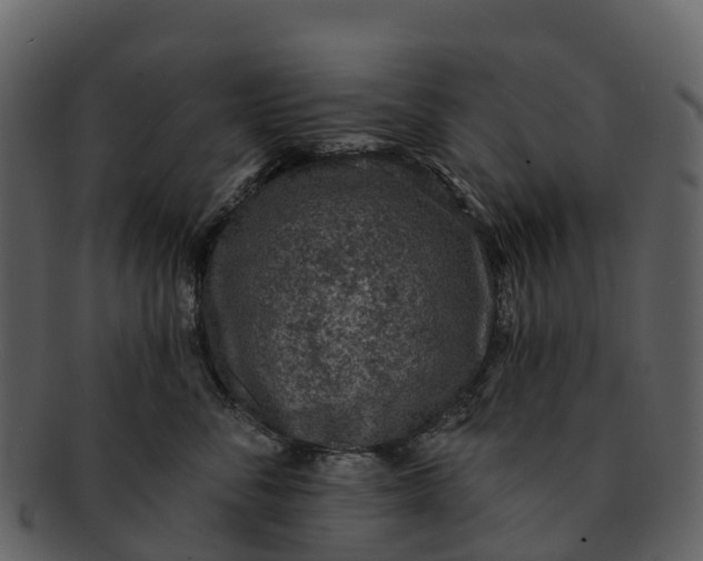 X0000092320716200710051256