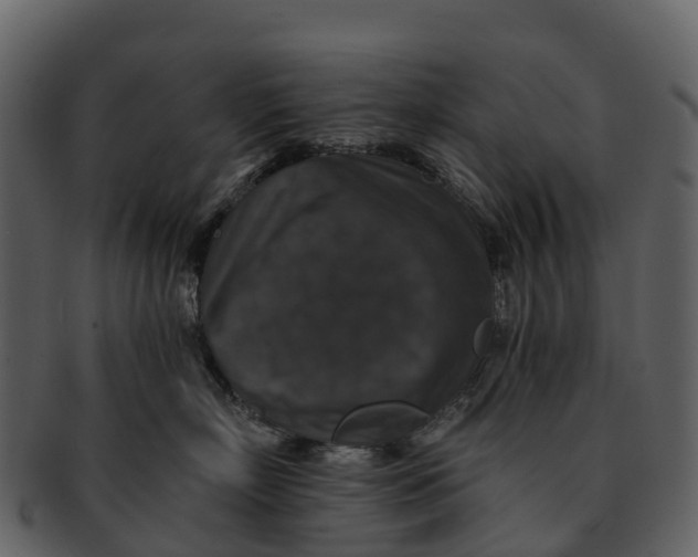 X0000092320718200710051256