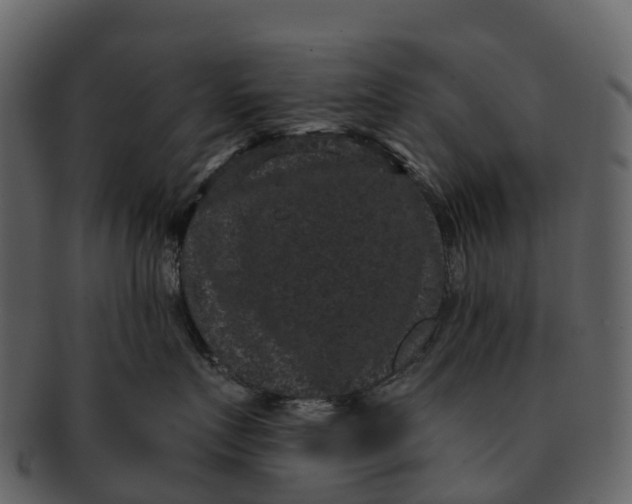 X0000092320719200710051256