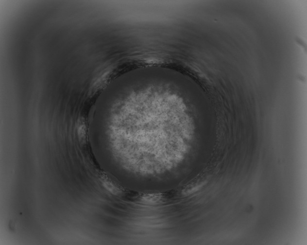 X0000092320720200710051256