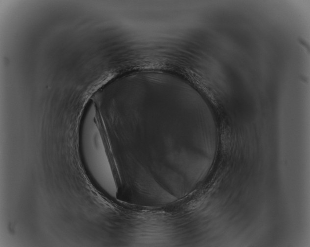 X0000092320721200710051256