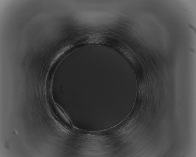 X0000092320722200710051256