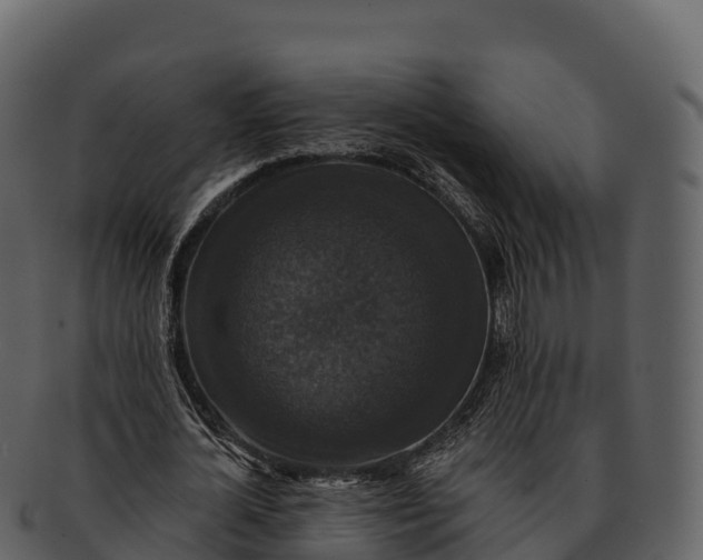 X0000092320724200710051256