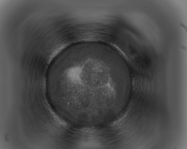 X0000092320725200710051256