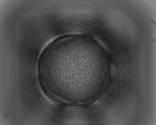 X0000092320726200710051256