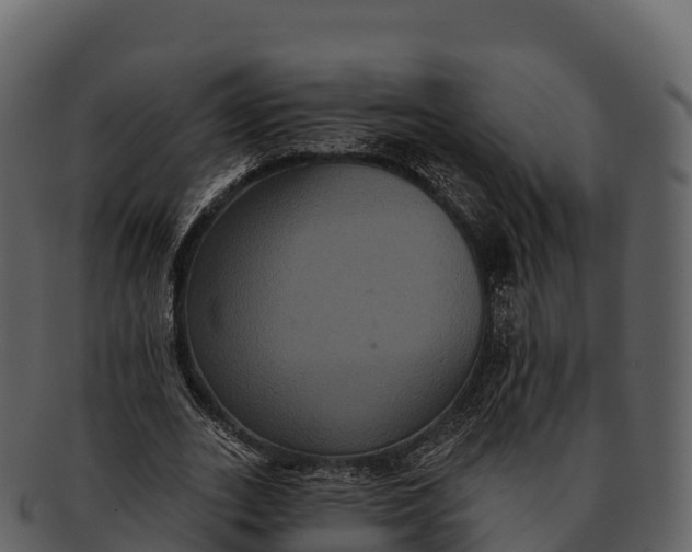 X0000092320727200710051256