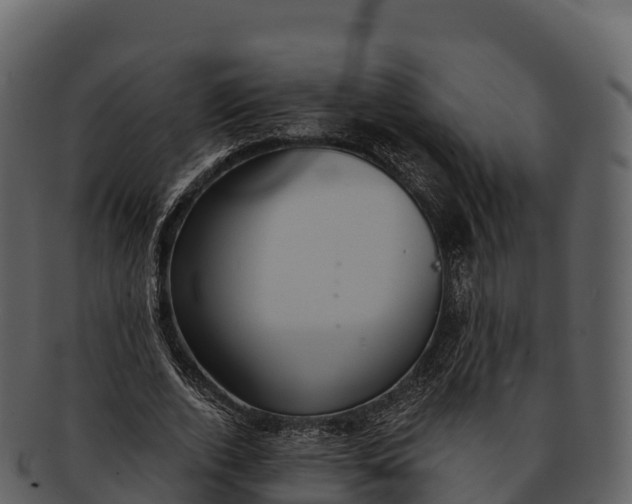 X0000092320728200710051256