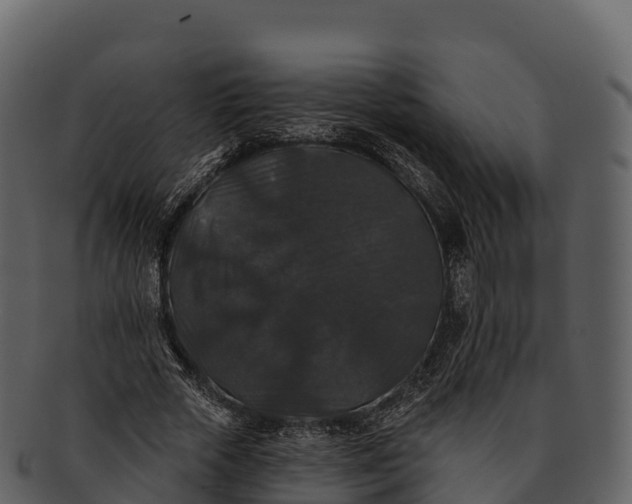 X0000092320729200710051256