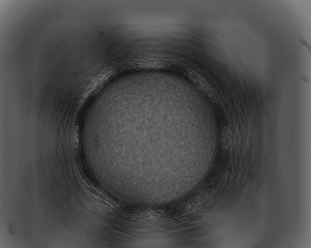 X0000092320731200710051256