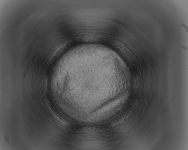 X0000092320733200710051256