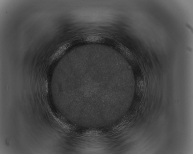 X0000092320734200710051256