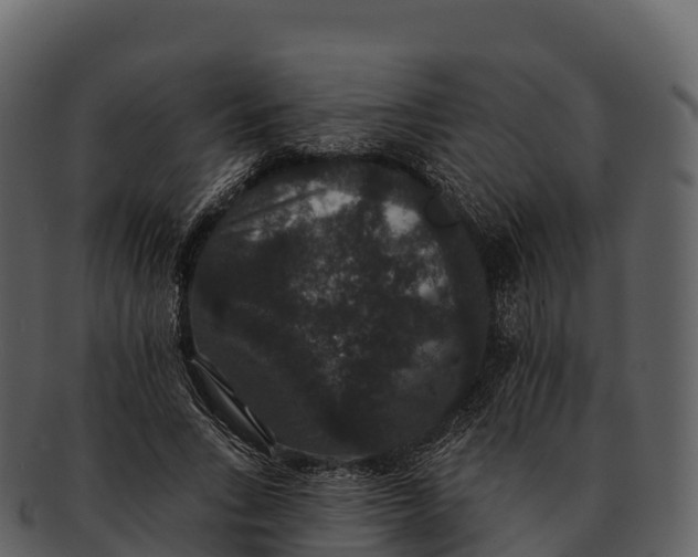 X0000092320735200710051256