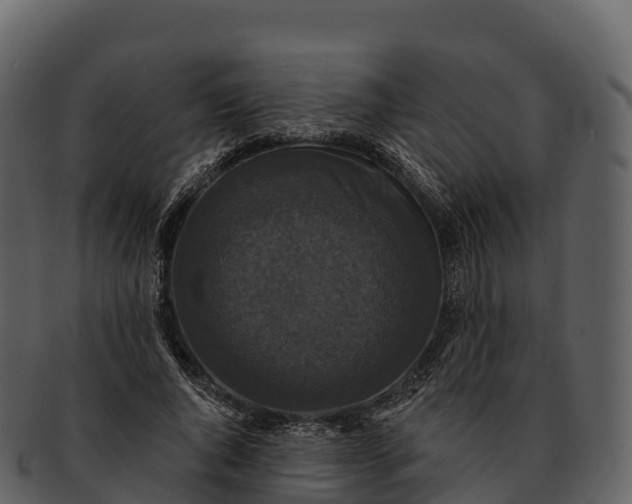 X0000092320736200710051256