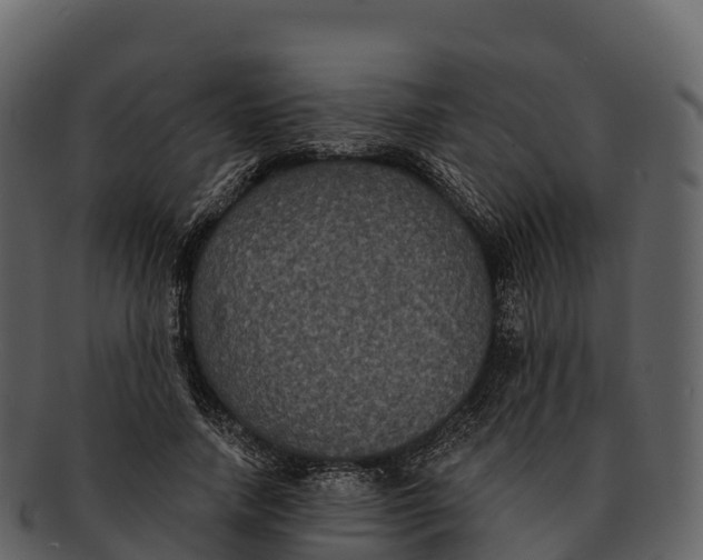 X0000092320738200710051256