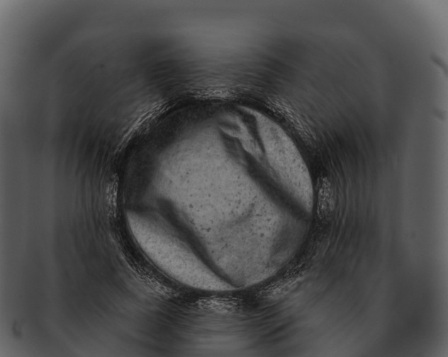 X0000092320739200710051256